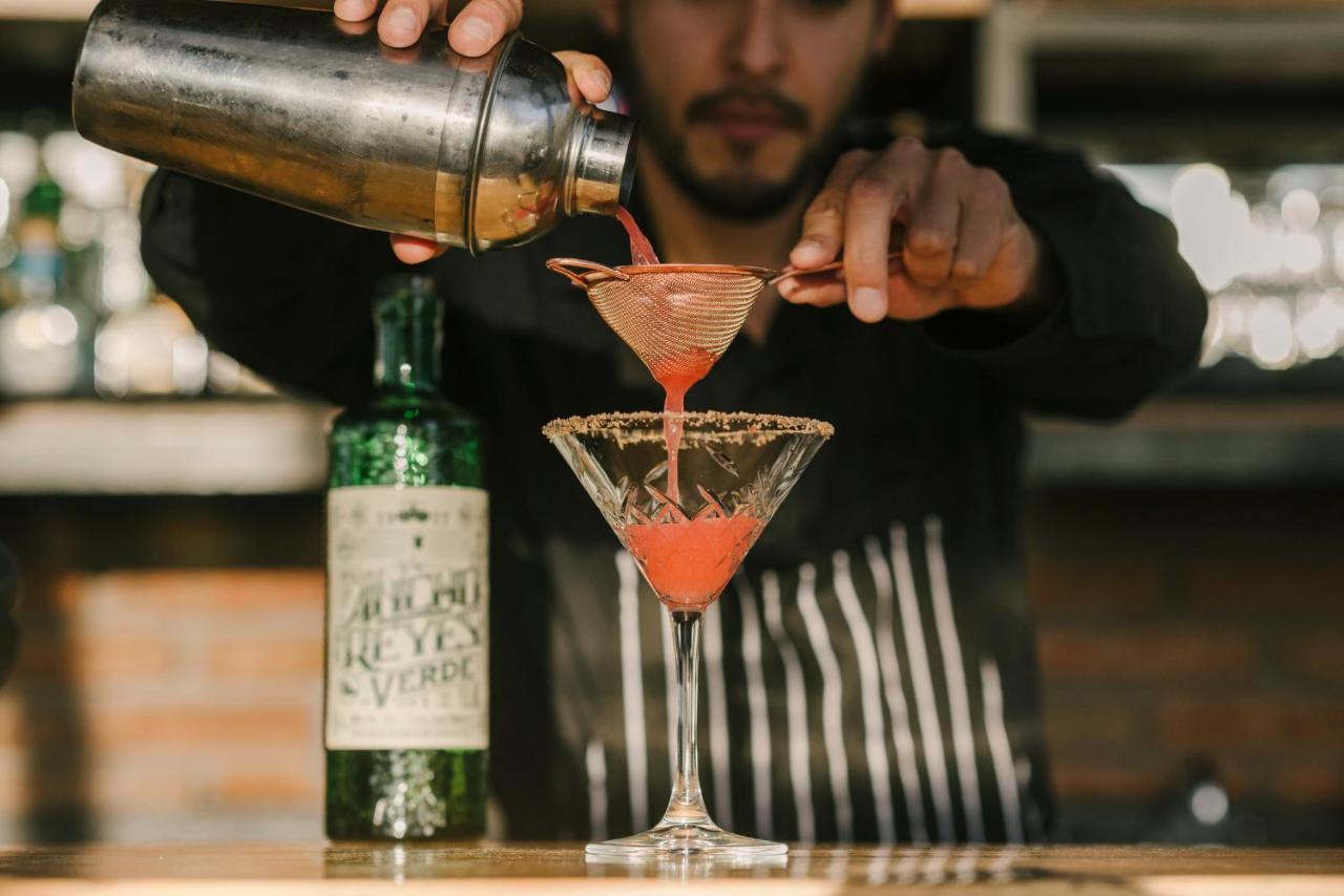Hotel Apapacho Boutique San Miguel de Allende Zewnętrze zdjęcie